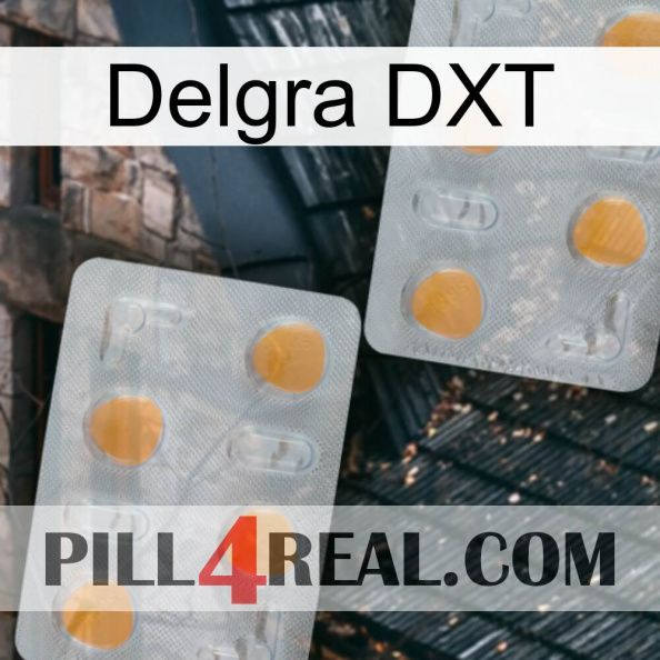 Delgra DXT 25.jpg